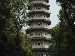 -灵谷景区