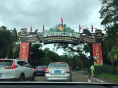 -海南热带野生动植物园