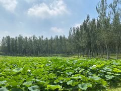 -东郊湿地公园