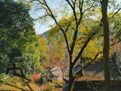 -虎跑公园