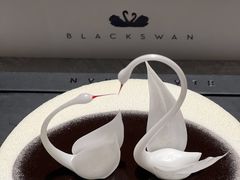 -BLACKSWAN黑天鹅(环球店)