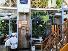 -Rainforest
