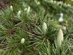 -国家植物园南园