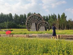 -长春公园(普阳街道)