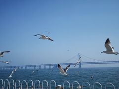 -星海广场