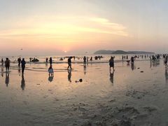 -真浪花园海鲜餐馆