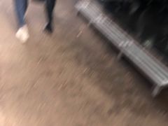 -奉天蚨祥饺子馆