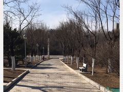 -滨河世纪广场公园