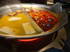 台式麻辣花胶鸡鸳鸯锅-湊湊火锅·茶憩(世博大道店)