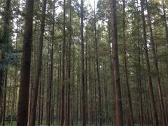 iphone_upload_pic-上海怡沁园度假酒店