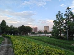 -飞来湖湿地公园