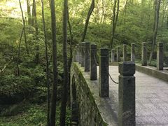 -牛背梁国家森林公园