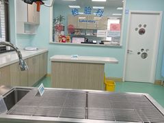 -北京观赏动物医院·24小时大型综合·猫专科·异宠专科