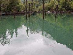 -叠溪松坪沟景区