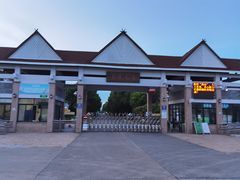 -上海都市菜园