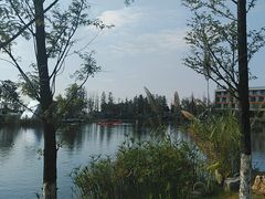 -铁山坪森林公园