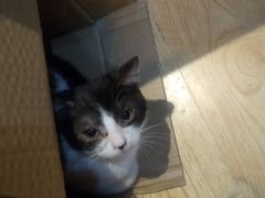 -万小咖.猫咖(中山路天虹店)
