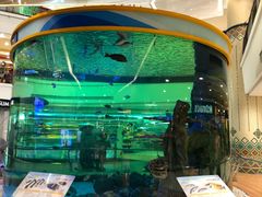 -尚泰清迈机场购物中心