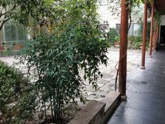 -金稼园·金平湖农家菜