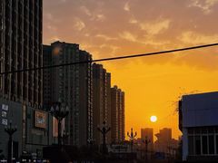 -唐哥冷淡杯(电子路店)