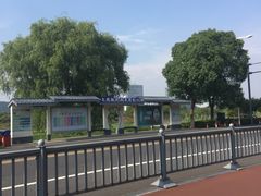 -太湖湖滨国家湿地公园-停车场