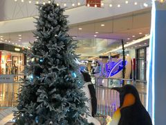 -保利MALL(天鹅湖店)