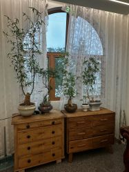 点击看大图 -WAVE SODA摄影工作室