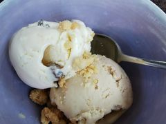 葡萄干朗姆雪糕-深圳四季酒店·馥自助餐厅