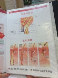 -银座Calla