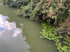 -中国科学院西双版纳热带植物园