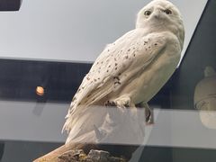 -国家自然博物馆