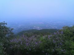 -鬼笑石后山停车场