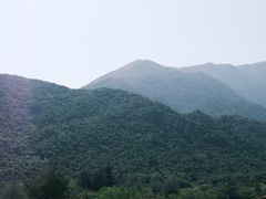 -鹿嘴山庄