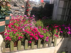 -深业半汤御泉庄温泉