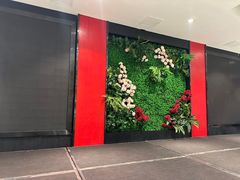 -辛香味烧鱼馆·非遗技艺·排骨红烧肉(光谷医药园店)
