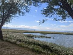 -野鸭湖国家湿地公园