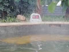 -太白山御龙湾温泉
