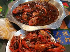 -大孩龙虾(体育场旗舰店)