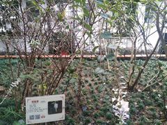 -广州神农草堂中医药博物馆