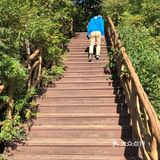 让电瓶车载你返程… 两个人50块