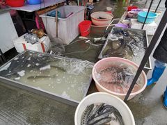 -永汉农贸市场