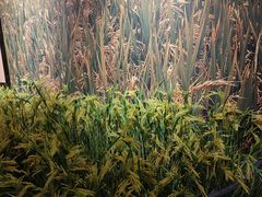 -中国天府农业博览园