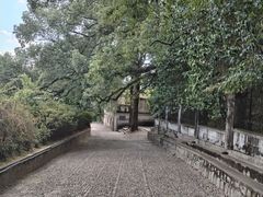-蒋氏故居