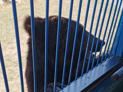 -鄂尔多斯野生动物园