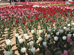 -公益图书馆(江南大学店)