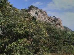 -大连天门山国家森林公园