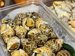 -铭聚章鱼土笋冻(松柏店)