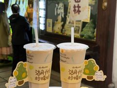-猫的魔法密林(衣裳街店)