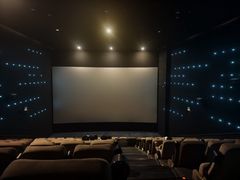 -深影国际影城(学院南路店CGS中国巨幕店)