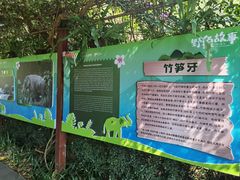 -野象谷景区